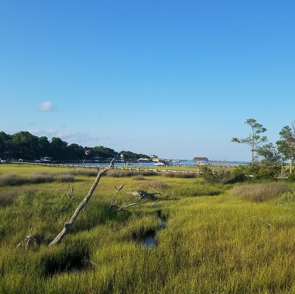 Meet your Posher, Brett - Picture 2 of 3